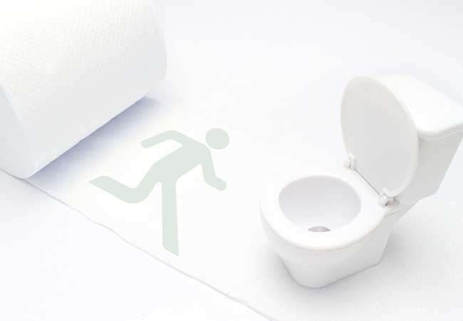 トイレの模型とトイレットペーパー